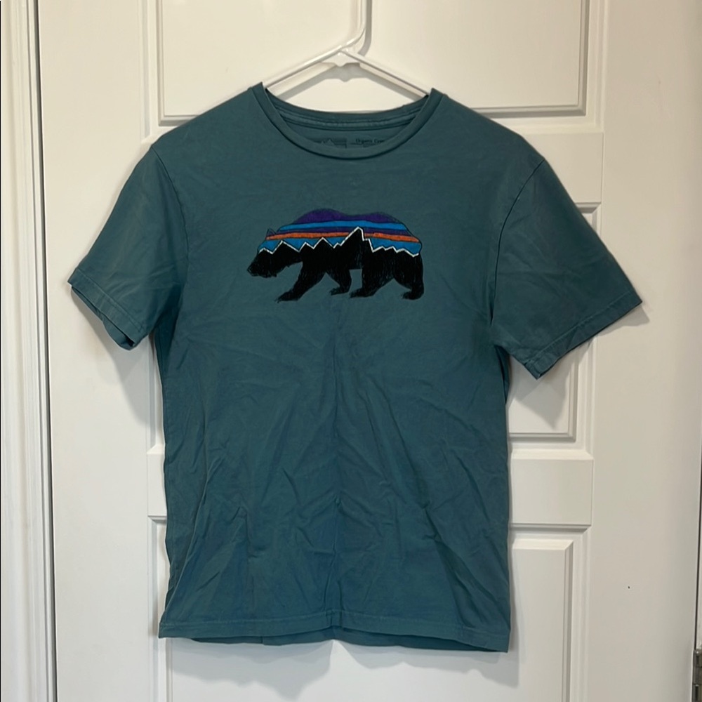 Patagonia Slim Fit Teal T-Shirt